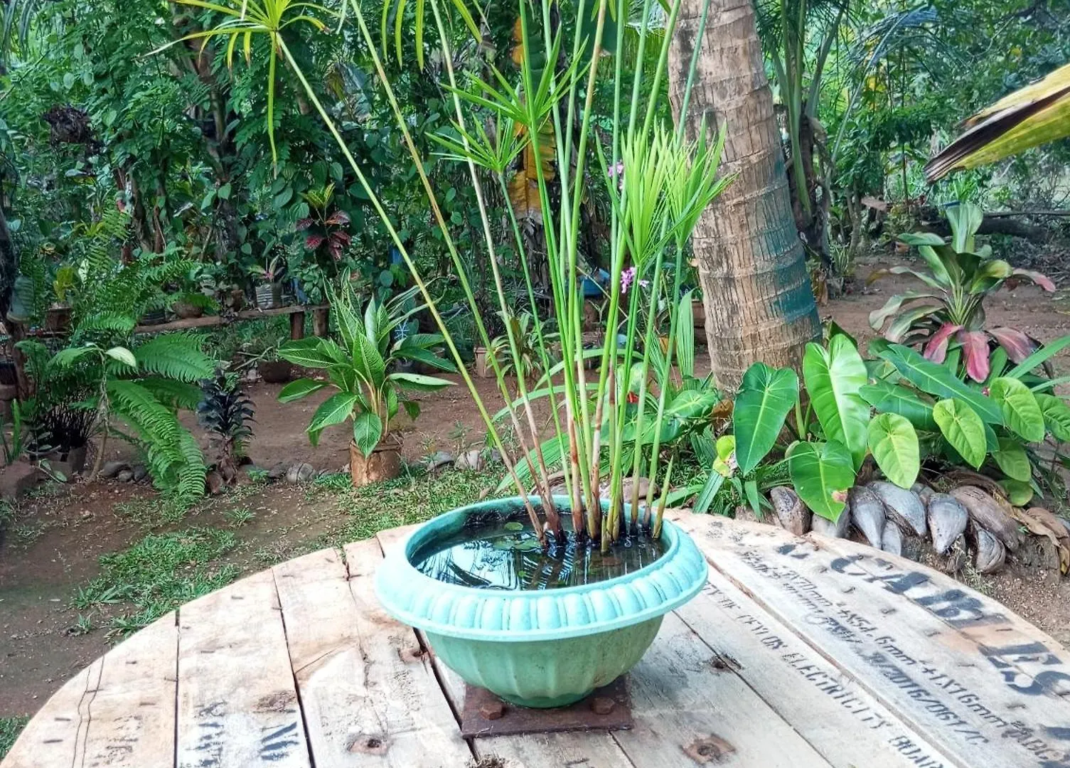 Sigiri Hunter Homestay Hostel & Guide Room Sigiriya