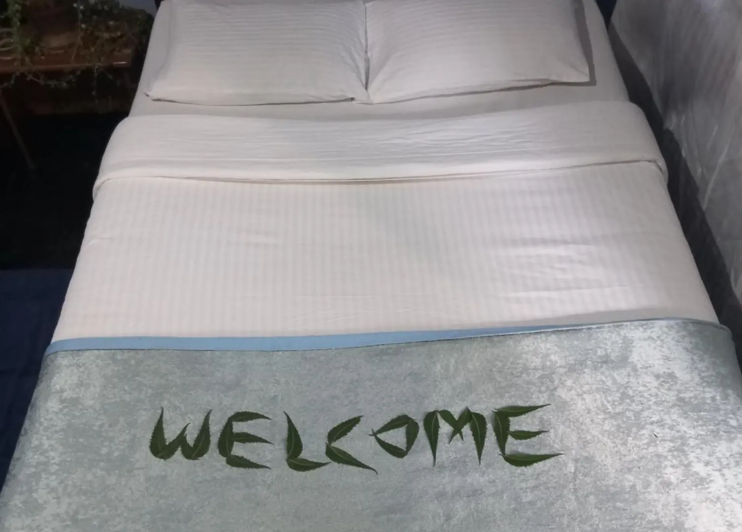 Sigiri Hunter Homestay Hostel & Guide Room Sigiriya