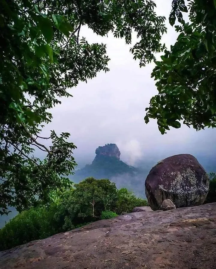 Sigiri Hunter Homestay Hostel & Guide Room Sigiriya