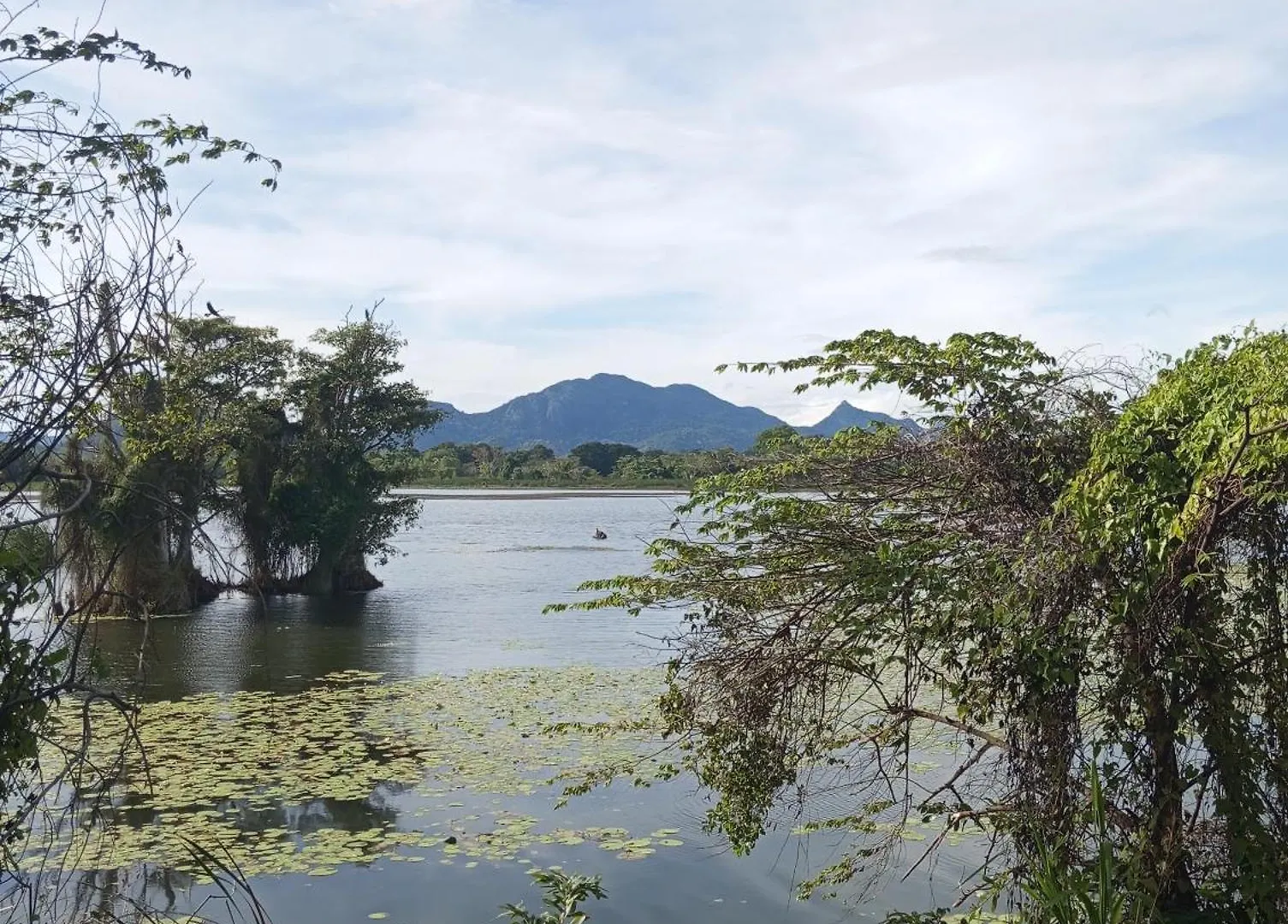 Sigiri Hunter Homestay Hostel & Guide Room Sigiriya Sri Lanka
